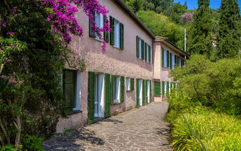 Portofino: Shrub, Spring, Garden, Walkway