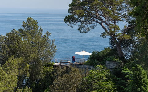 Portofino: Tree, Leaf, Vegetation, Coastal And Oceanic Landforms, Coast, Shade, Vacation, Outdoor Furniture, Tropics