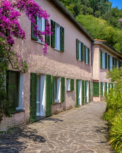 Portofino: Shrub, Spring, Garden, Walkway