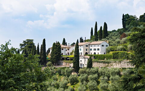 Galero: Architecture, Shrub, Estate, Garden, Landscaping, Village, Evergreen, Hedge, Plantation