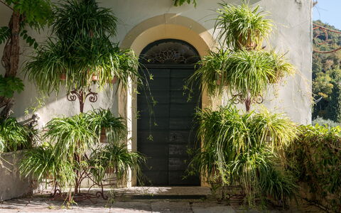 Galero: Vegetation, Property, Arch, Building, Architecture, House, Botany, Tree, Real Estate, Door