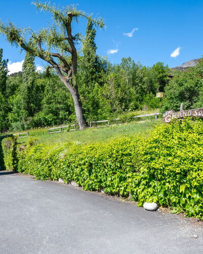 Maisonette Grand Soleil: Green, Shrub, Garden, Groundcover, Spring, Shade, Landscaping, Lawn, Hedge, Botanical Garden