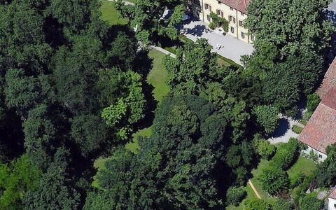 Villa Castellani: Tree, Residential Area, House, Shrub, Home, Land Lot, Estate, Human Settlement, Lawn, Mansion