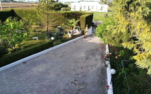 Villa Maddalena: Shrub, Garden, Walkway, Landscaping, Driveway, Evergreen, Hedge