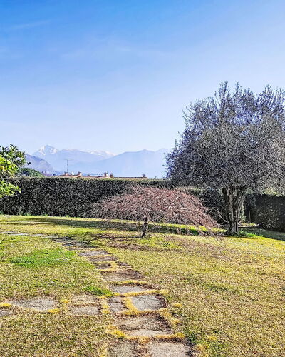 Casa Molgisio: Landscape, Garden, Groundcover, Lawn, Landscaping, Yard, Park, Backyard, Walkway, Farmhouse