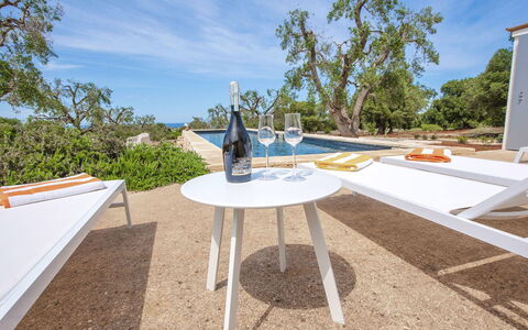 Villa Il Guaceto: Furniture, Outdoor Furniture, Garden, Shade, Outdoor Table, Chair, Landscaping, Eco Hotel, Backyard