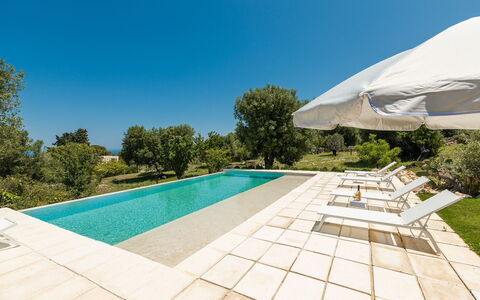 Villa Riva: Blue, Swimming Pool, Garden, Shade, Landscaping, Flagstone, Tile