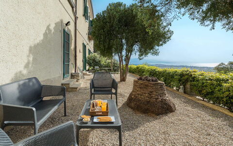 Villa Milo: Outdoor Furniture, Chair, Shade, Landscaping, Houseplant, Outdoor Table, Flowerpot, Kitchen & Dining Room Table, Patio, Balcony