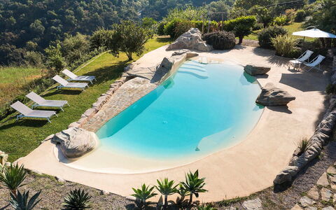 Villa Milo: Blue, Water, Swimming Pool, Resort, Leisure, Outdoor Furniture, Vacation, Tropics, Eco Hotel, Umbrella