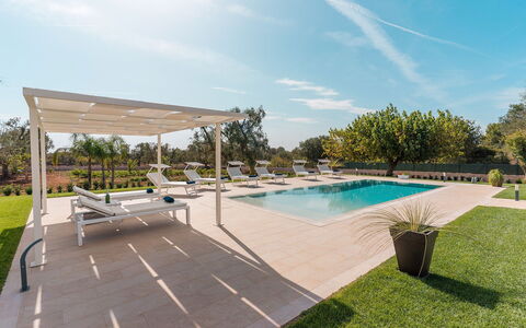 Villa Il Gelsomino: Swimming Pool, Tree, Outdoor Furniture, Garden, Resort, Shade, Landscaping, Sunlounger, Leisure
