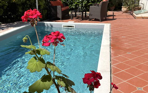 Villa Ava: Flowerpot, Swimming Pool, Garden, Shade, Houseplant, Landscaping, Backyard, Yard, Water Feature