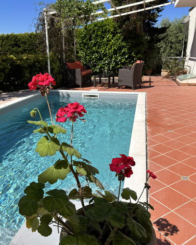 Villa Ava: Flowerpot, Swimming Pool, Garden, Shade, Houseplant, Landscaping, Backyard, Yard, Water Feature