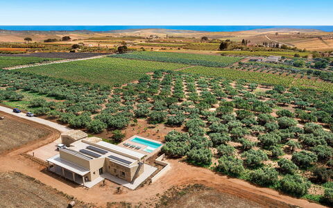 Villa Clemente: Landscape, Plain, Land Lot, Aerial Photography, Bird'S-Eye View, Plantation, Field, Estate, Agriculture, Farm