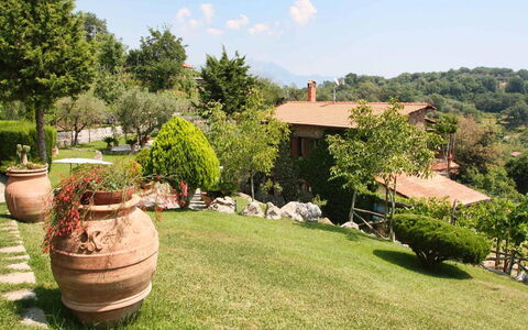 The Sea Farmhouse: Landscape, Shrub, Garden, Rural Area, Lawn, Landscaping, Backyard, Yard, Shade