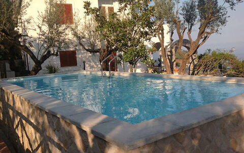 Villa Sea Breeze: Swimming Pool, Composite Material, Water Feature, Resort, Eco Hotel, Backyard, Outdoor Furniture, Houseplant, Villa, Flowerpot