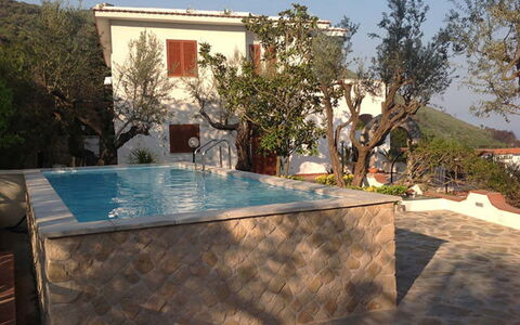 Villa Sea Breeze: Swimming Pool, Composite Material, Water Feature, Hacienda, Backyard, Resort, Flowerpot, Estate, Eco Hotel, Houseplant