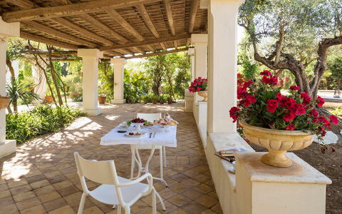 Green Villa: Furniture, Table, Chair, Flowerpot, Garden, Kitchen & Dining Room Table, Houseplant, Flagstone, Shade, Resort