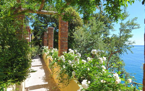 Romantic Tower: Flower, Shrub, Spring, Garden, Rose Family, Fence, Botanical Garden