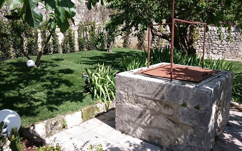 Villa Acreide: Shrub, Rock, Garden, Groundcover, Backyard, Flagstone, Landscaping, Shade, Yard
