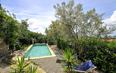 Villa del Mare: Blue, Shrub, Garden, Landscaping, Backyard, Swimming Pool, Shade, Yard, Water Feature, Walkway