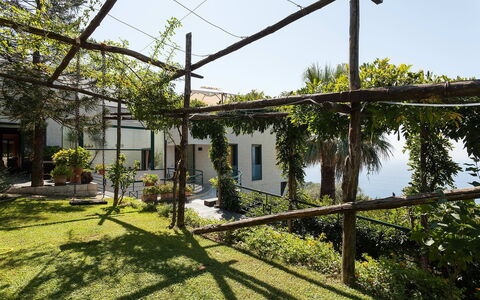 Villa Felicia: Shade, Garden, Backyard, Yard, Landscaping, Hacienda, Pergola, Outdoor Structure, Courtyard, Daylighting