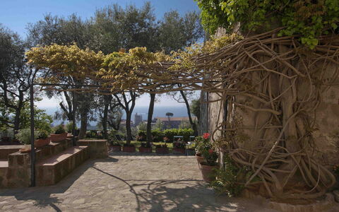 Villa Torre del Sole: Spring, Flowerpot, Shade, Garden, Flagstone, Landscaping, Houseplant, Walkway
