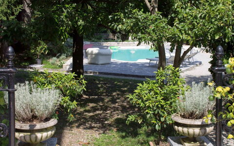 Villa Virginia: Shrub, Garden, Flowerpot, Shade, Spring, Landscaping, Flagstone, Backyard, Yard