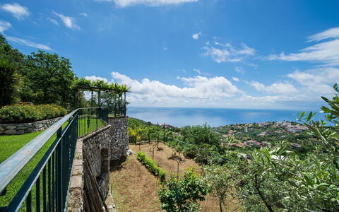 Villa Tortuga: Horizon, Landscape, Sea, Ocean, Fence, Stock Photography