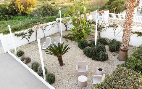 Kalimba: Shrub, Garden, Flowerpot, Landscaping, Shade, Houseplant, Yard, Hacienda