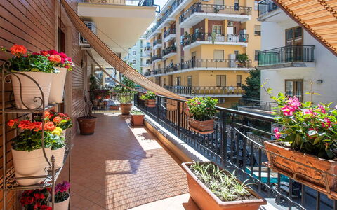 Apartment Bud: Flowerpot, Balcony, Apartment, Houseplant, Porch, Condominium, Handrail, Chair, Baluster, Hotel