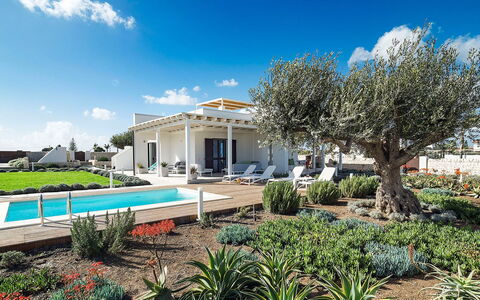 Rosemary: Home, Estate, Garden, Landscaping, Shade, Villa, Hacienda, Outdoor Structure, Design, Farmhouse