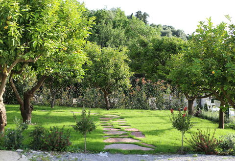 Mermaid Villa: Leaf, Shrub, Garden, Spring, Woody Plant, Lawn, Shade, Yard, Backyard