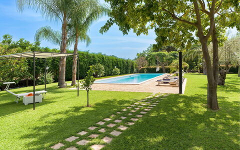 Villa Carosone: Swimming Pool, Garden, Shade, Land Lot, Resort, Lawn, Eco Hotel, Landscaping, Backyard