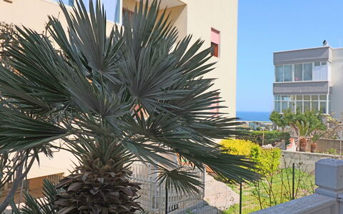 Luisa: Woody Plant, Balcony