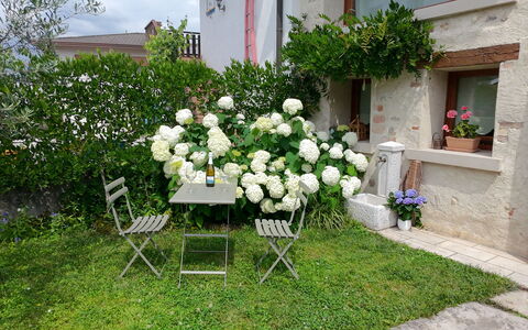 La Casetta dei Palù, Valdobbiadene: Flower, Shrub, Garden, Spring, Flowering Plant, Backyard, Landscaping, Flowerpot, Yard, Lawn