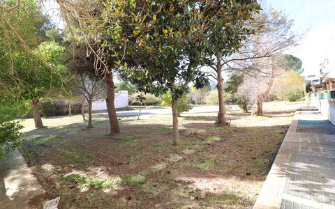 Noemi'S House in Otranto: Leaf, Branch, Trunk, Woody Plant, Shade, Garden, Soil, Landscaping, Yard, Walkway