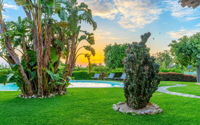 Villa Polistena: Blue, Green, Grass, Shrub, Landscape, Garden, Swimming Pool, Lawn, Resort