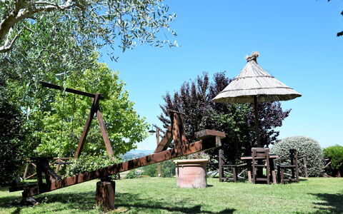 Terre di Giano Private Pool and View, Umbria: Garden, Trunk, Lawn, Park, Landscaping, Yard, Backyard