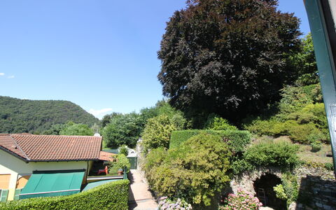 Bellavista Dimora Storica Vista Lago: Green, Leaf, Vegetation, Shrub, Garden, Hedge, Landscaping, Botanical Garden, Evergreen
