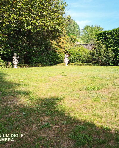 Bellavista Dimora Storica Vista Lago: Grass, Shrub, Garden, Land Lot, Lawn, Backyard, Shade, Yard, Landscaping