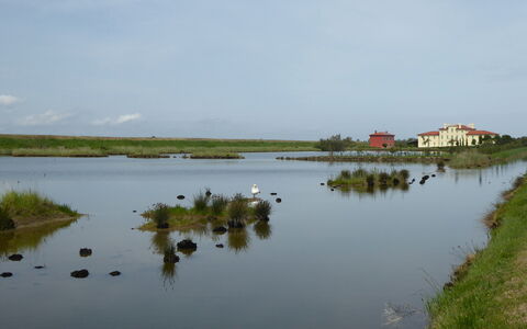 Villa Camerini, Nature, Bikes and Beaches: Water Resources, Water, Body Of Water, Marsh, Natural Landscape, Waterway, Bank, Watercourse