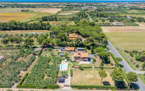 Rose Adriano Home: Residential Area, Bird'S-Eye View, Landscape, Home, Estate, Urban Design, Aerial Photography, Suburb, Plantation, Landscaping