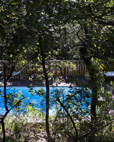 Villa Sole - Exclusive Villa al Conero con Piscina: Blue, Nature, Leaf, Branch, Swimming Pool, Shade, Sunlight, Twig, Garden, Backyard