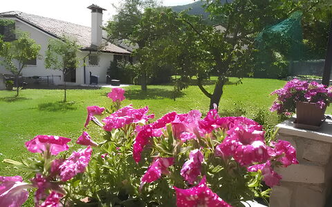La Corte di Marga - Casa Gustet: Flower, Petal, Pink, Shrub, Garden, Spring, Groundcover, Flowering Plant, Purple