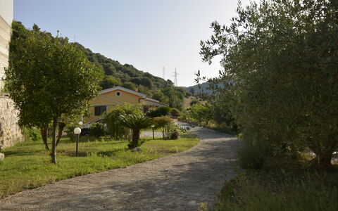 Villa del Monte: Vegetation, Landscape, Shrub, Rural Area, Driveway, Mountain Village, Trail, Walkway, Path