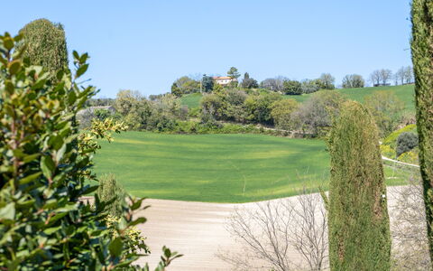 Serafini Holiday Home: Green, Shrub, Grassland, Landscape, Land Lot, Plain, Garden, Meadow, Lawn, Pasture