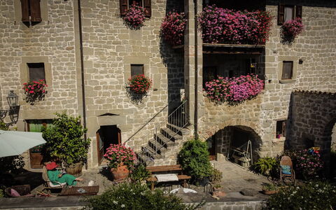 Agriturismo Arcera: Flowerpot, Houseplant, Floristry, Garden, Courtyard, Yard, Floral Design, Hacienda