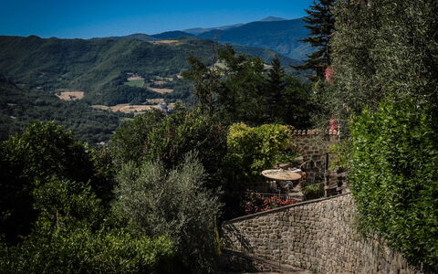 Agriturismo Arcera: Mountainous Landforms, Mountain, Nature, Leaf, Green, Hill, Vegetation, Highland, Landscape, Mountain Range