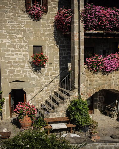 Agriturismo Arcera: Flowerpot, Houseplant, Floristry, Garden, Courtyard, Yard, Floral Design, Hacienda