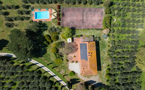 Il Leccio, Vinci, Private Pool and Tennis: Tree, Landscape, Land Lot, Estate, Plantation, Garden, Landscaping, Bird'S-Eye View, Lawn, Park